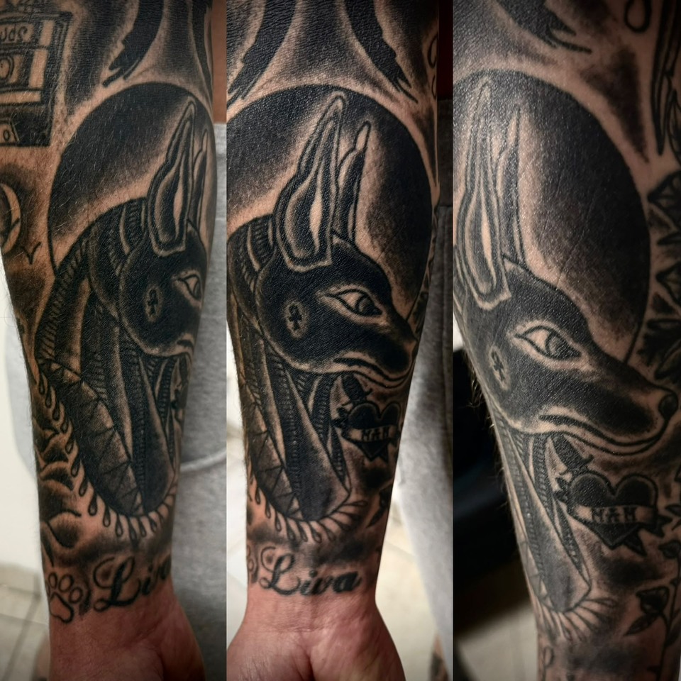 Drei Detailansichten eines schwarz-grauen Anubis-Tattoos mit langen Ohren am Unterarm.